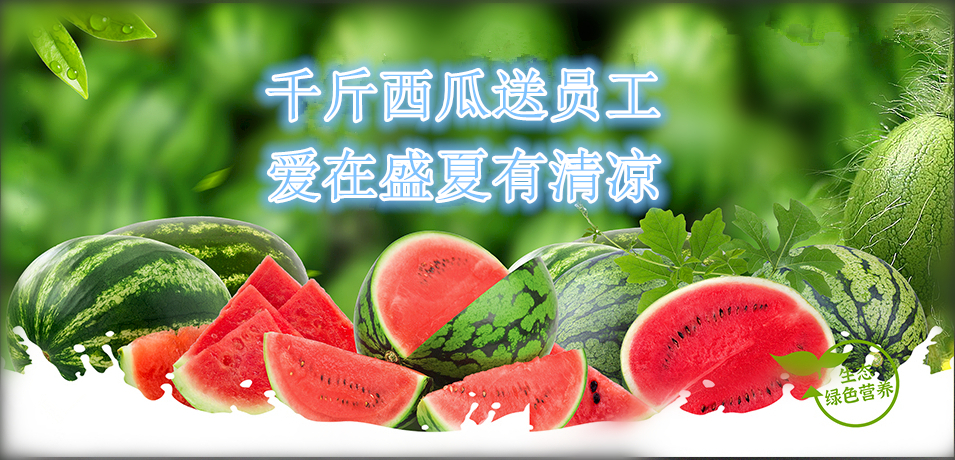 通達軟件公司： 千斤西瓜送員工，愛在盛夏有清涼